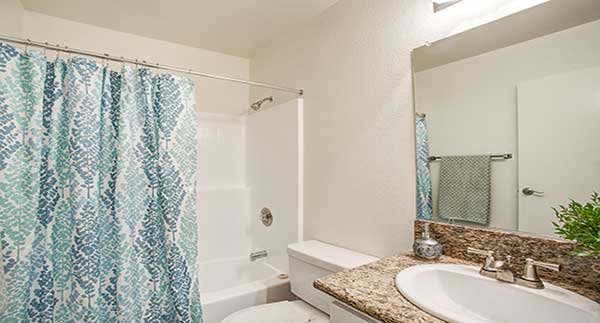 Waterstone Alta Loma Apartment 2nd bathroom